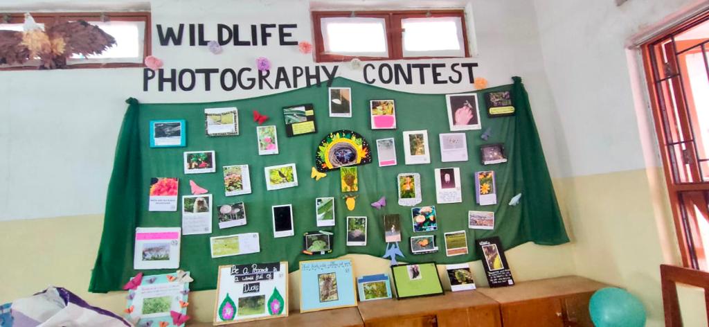 BIO-FIESTA Image